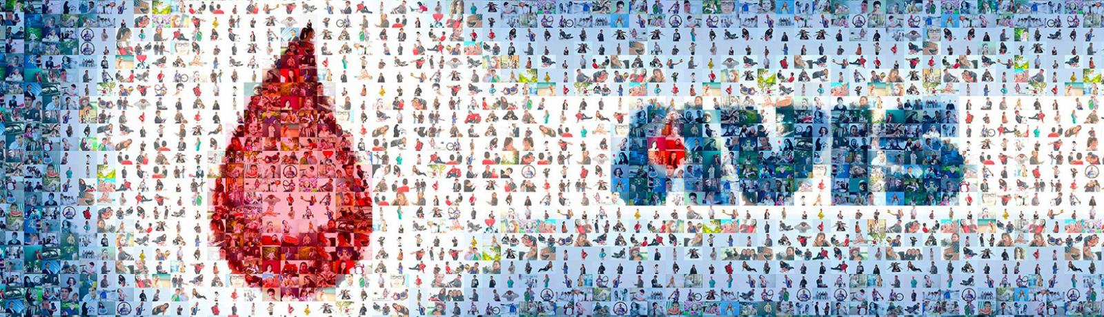 Mosaico_Avis_